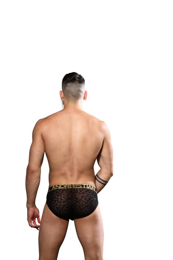 
                  
                    DOORBUSTER! Sparkle Sheer Leopard Brief w/ ALMOST NAKED®
                  
                