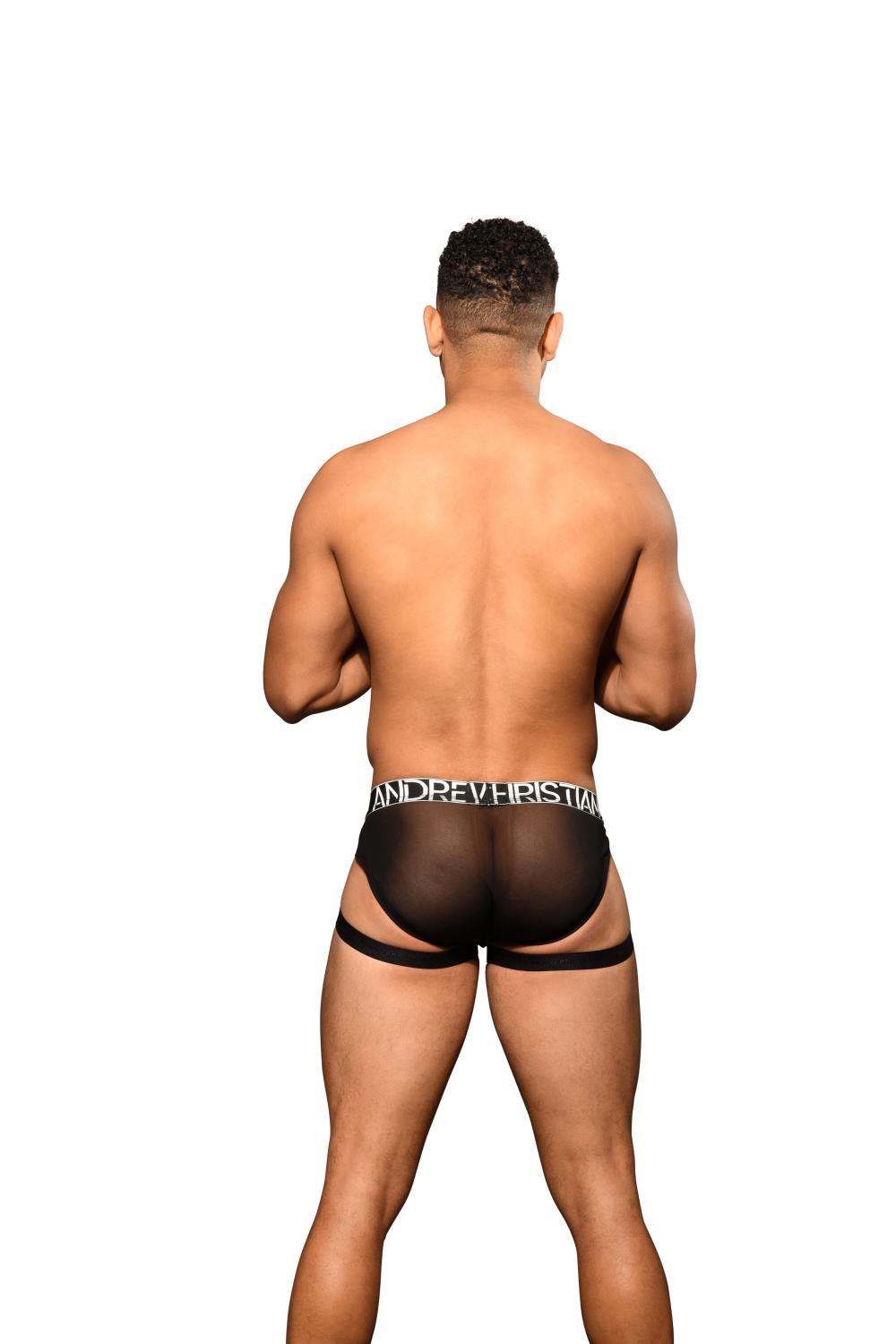 
                  
                    UNLEASHED Garter Mesh Brief w/ ALMOST NAKED®
                  
                