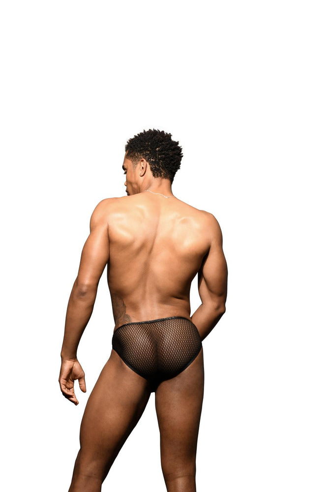 
                  
                    UNLEASHED Sexy Mesh Brief w/ ALMOST NAKED®
                  
                